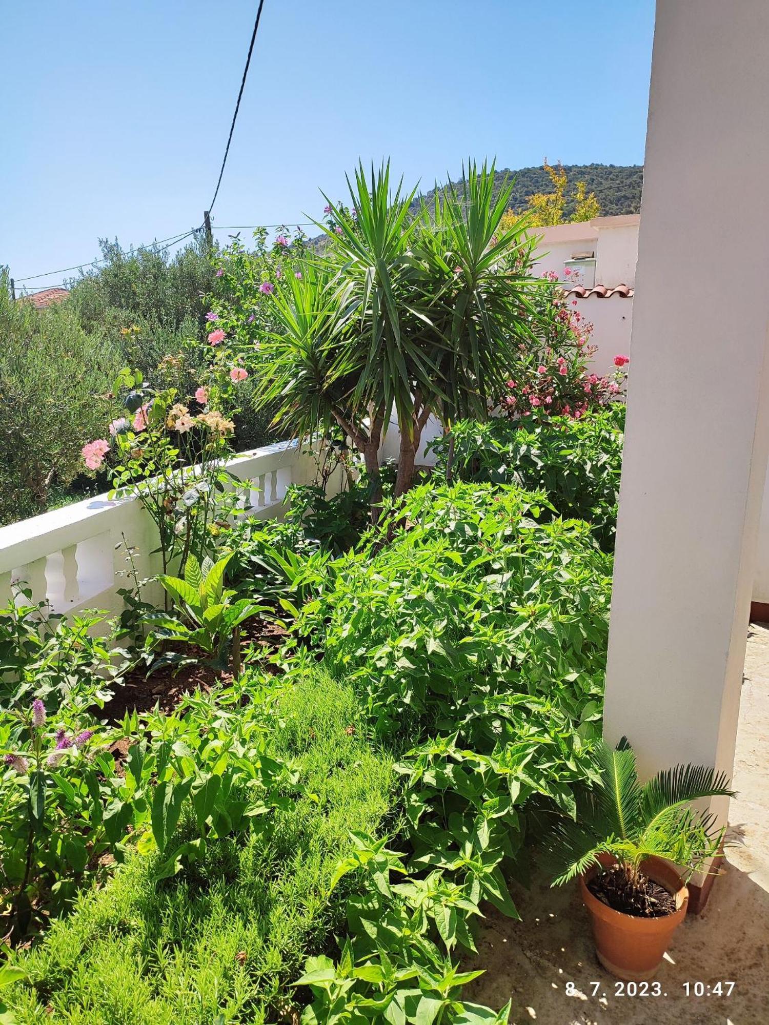 Apartment Slaven Vinišće Kültér fotó