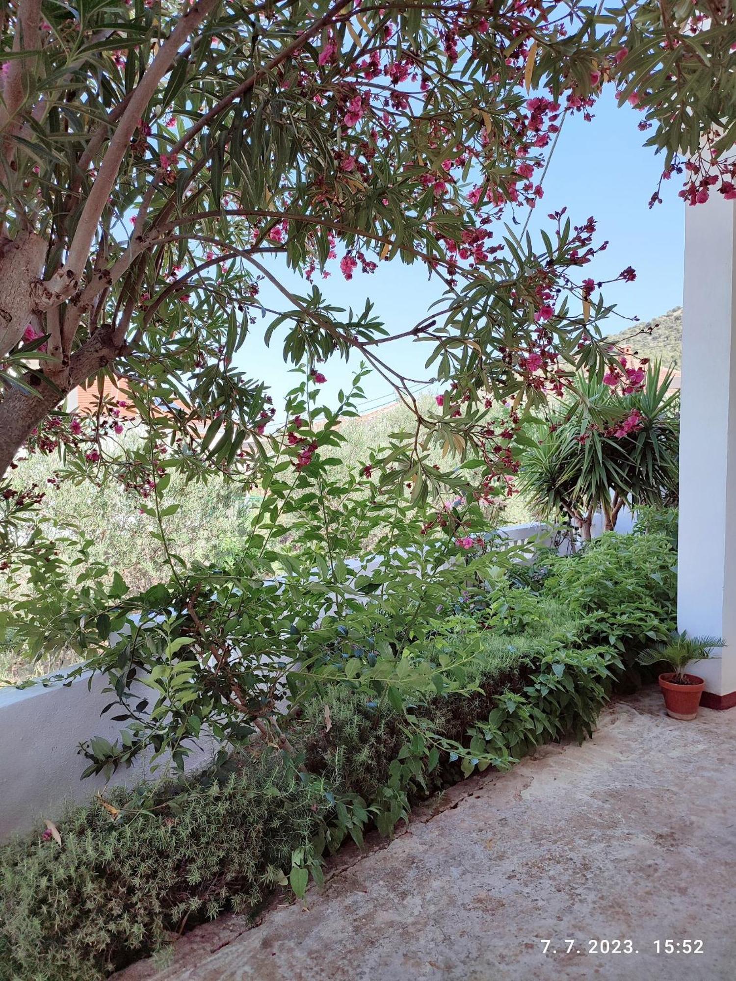 Apartment Slaven Vinišće Kültér fotó